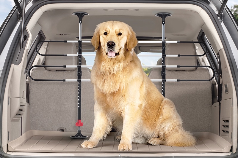pet barriers for your car or suv